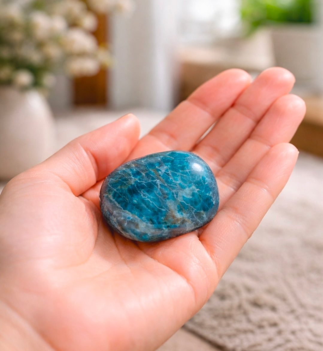 Apatite bleue – Pierre roulée 15/25 mm