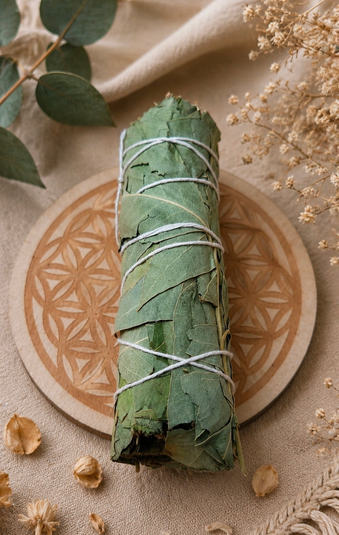 Bâton de fumigation Eucalyptus – Purification & Fraîcheur