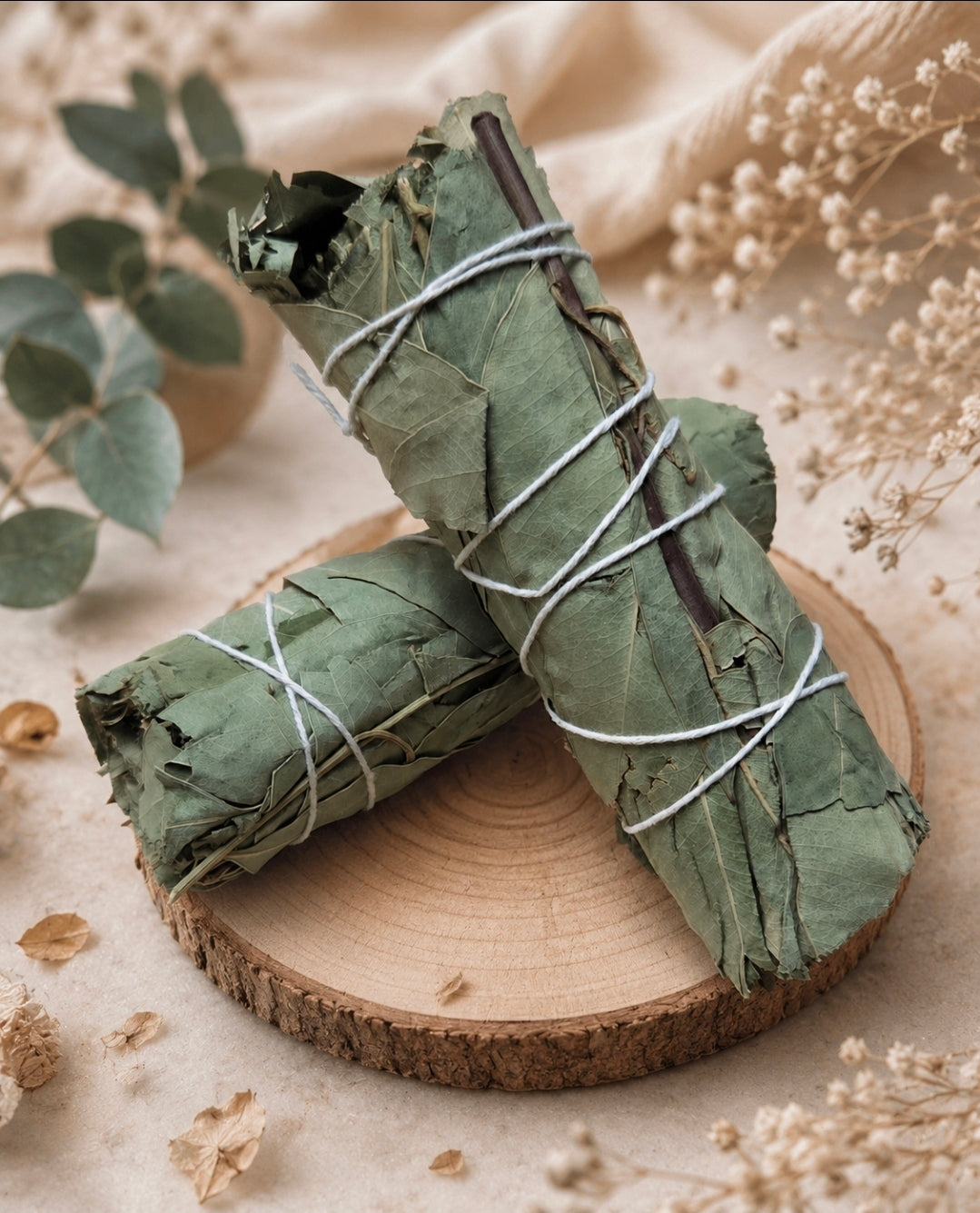Bâton de fumigation Eucalyptus – Purification & Fraîcheur