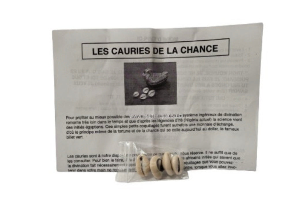 Cauris de la Chance – Kit de Divination Africain + Notice