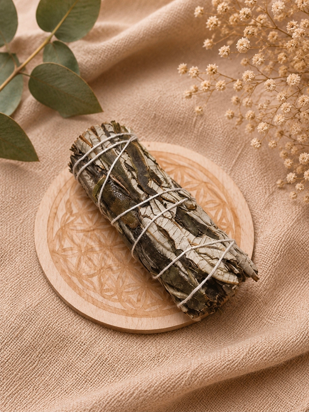 Bâton de Yerba Santa – Purification & Ancrage