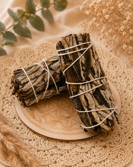 Bâton de Yerba Santa – Purification & Ancrage