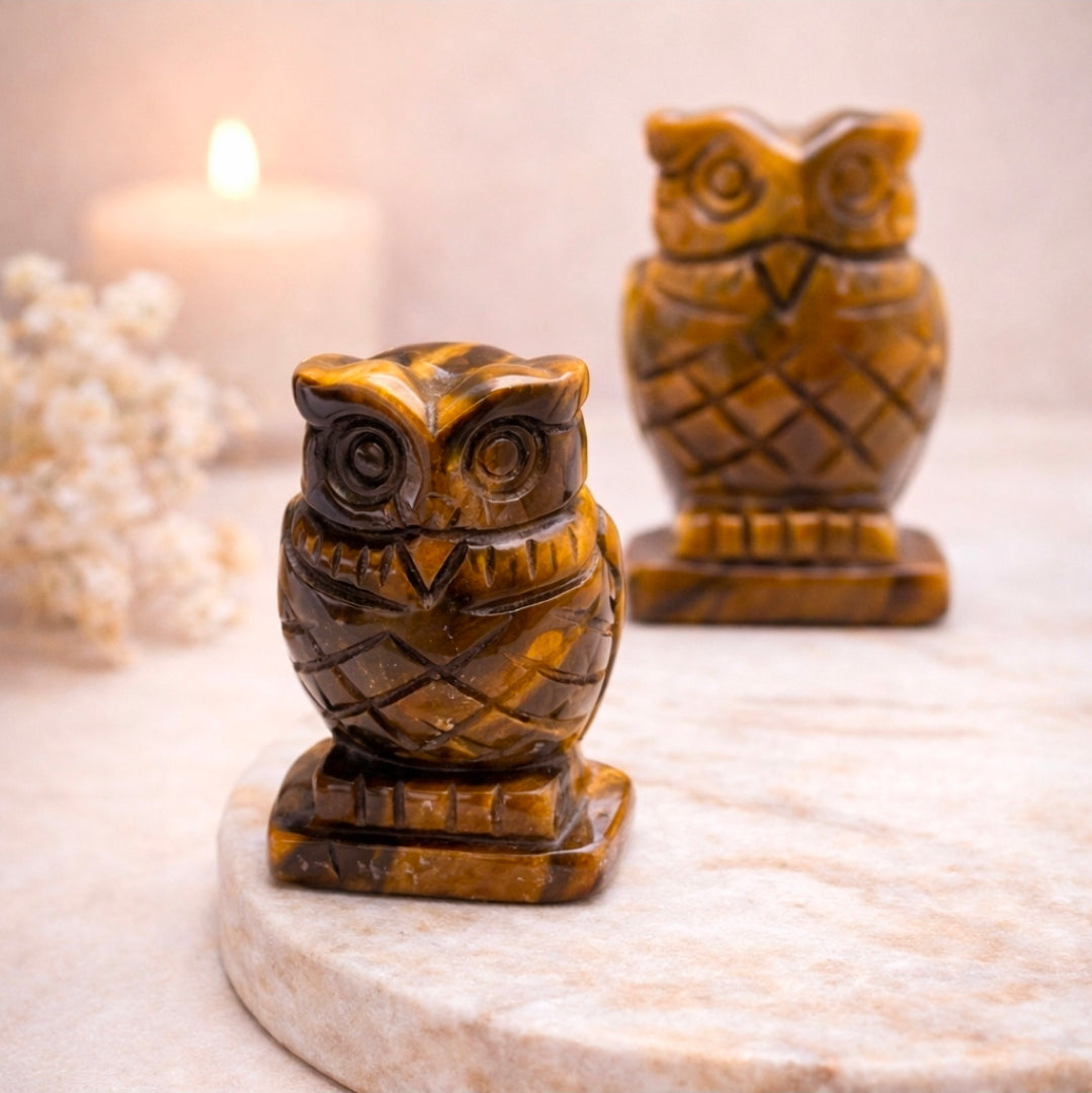 Chouette en Œil de Tigre – Protection, Intuition et Sagesse 50 mm