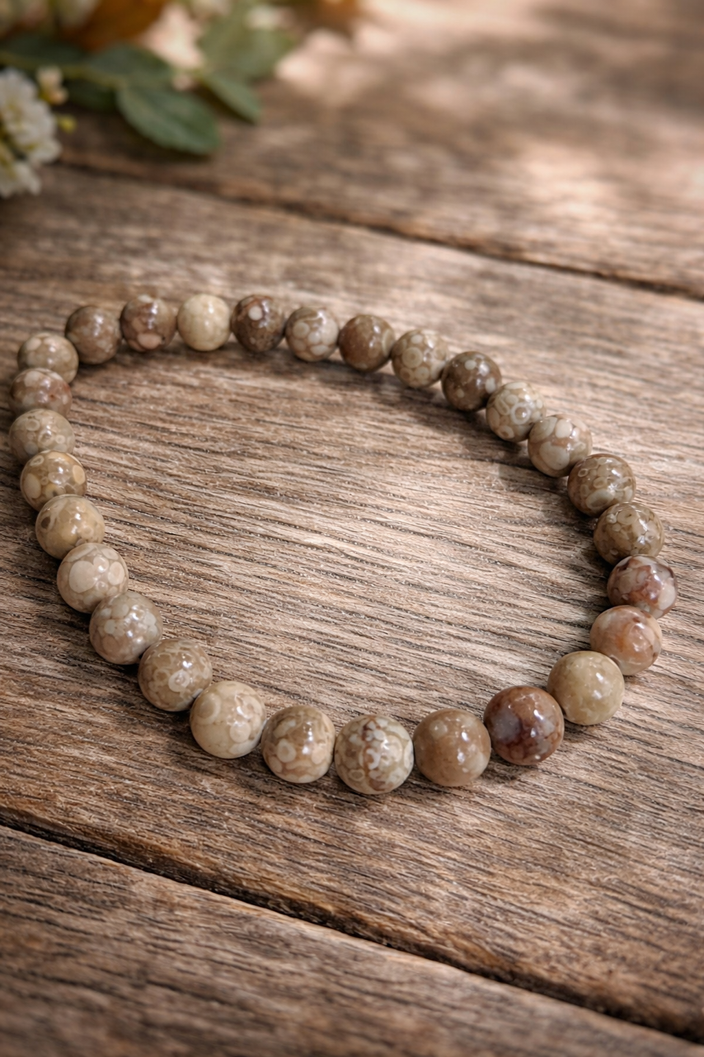 Bracelet en Agate Fossile – Ancrage & Stabilité