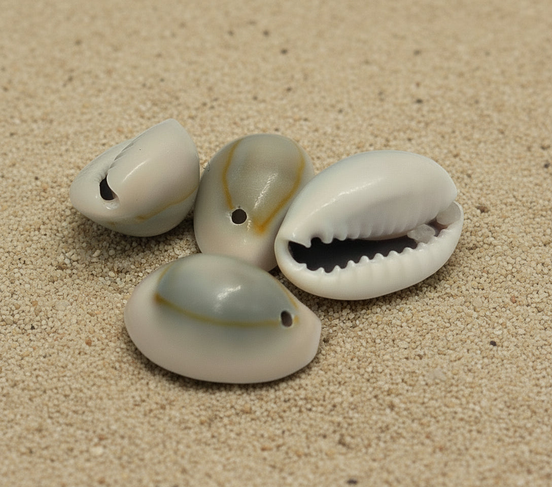 Cauris de la Chance – Kit de Divination Africain + Notice